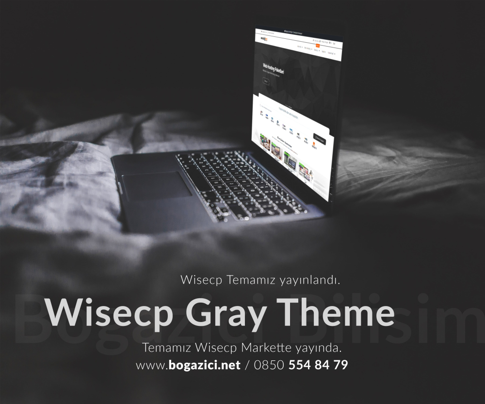 WiseCP Gray Teması