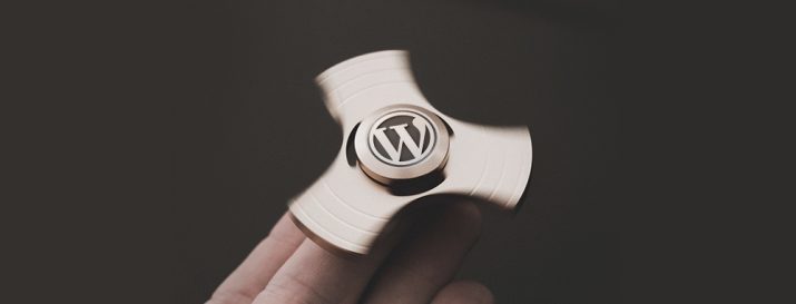 WordPress Sitenizi Nasıl Hızlandırırsınız?
